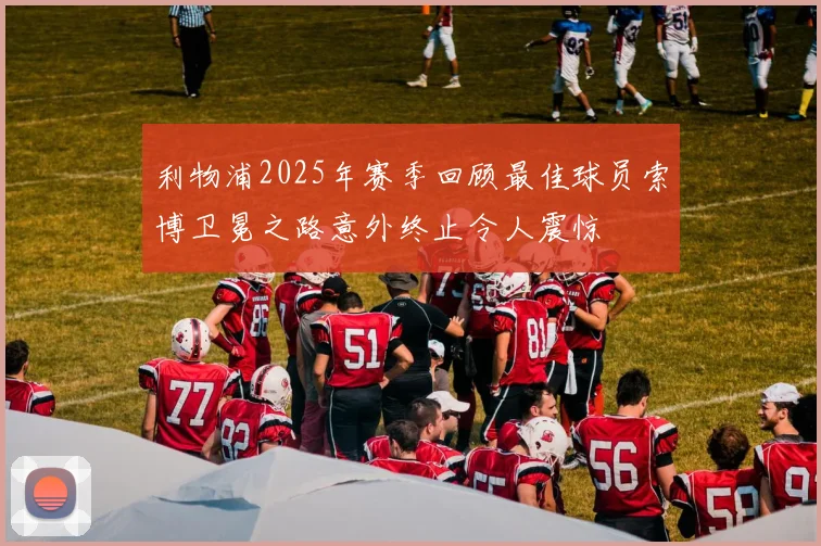 利物浦2025年赛季回顾最佳球员索博卫冕之路意外终止令人震惊