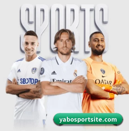 亚博体育 APP | YaboSports