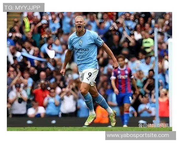 新世纪五大联赛球员连续进球纪录莱万14场领衔哈兰德范尼紧随其后